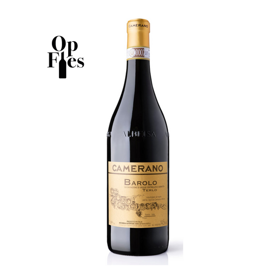 Barolo Terlo 2019 van Camerano